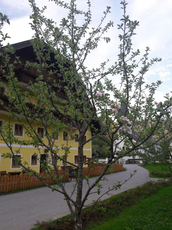 Biobauernhof Hauserbauer Hintersee Zewnętrze zdjęcie