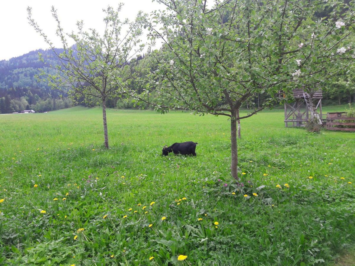 Biobauernhof Hauserbauer Hintersee Zewnętrze zdjęcie