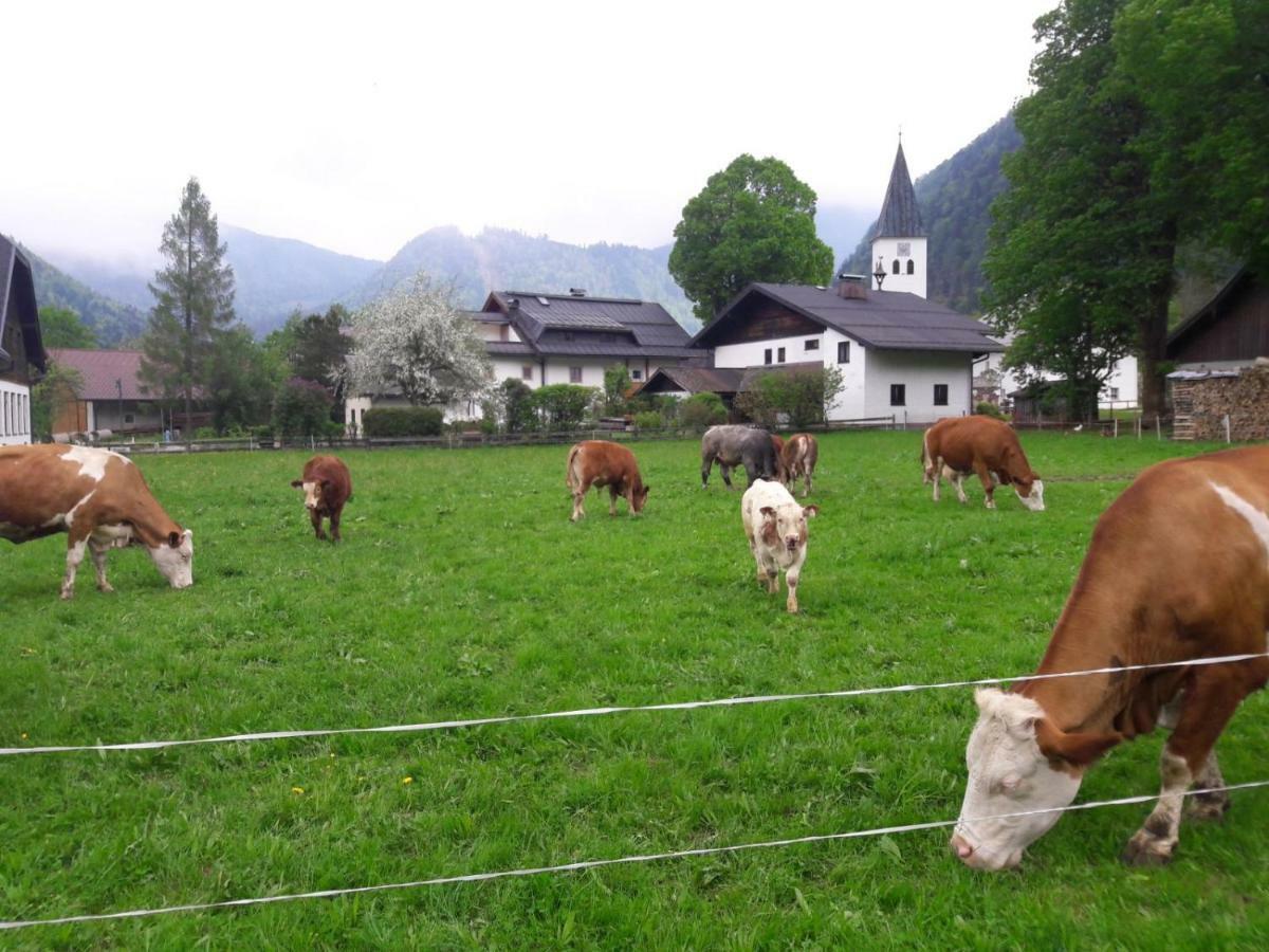 Biobauernhof Hauserbauer Hintersee Zewnętrze zdjęcie