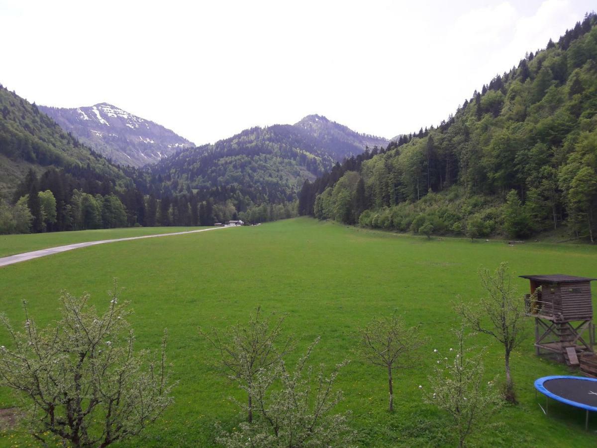 Biobauernhof Hauserbauer Hintersee Zewnętrze zdjęcie