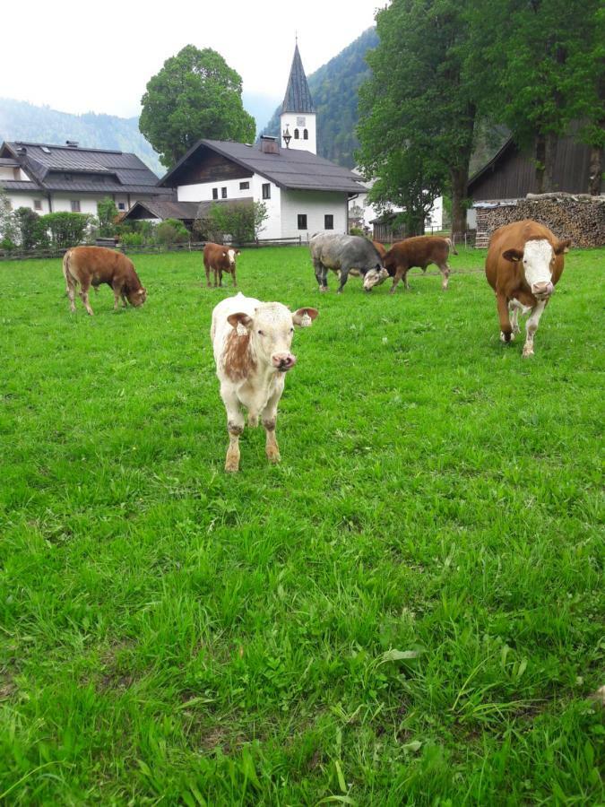 Biobauernhof Hauserbauer Hintersee Zewnętrze zdjęcie