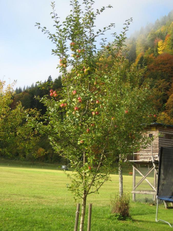Biobauernhof Hauserbauer Hintersee Zewnętrze zdjęcie