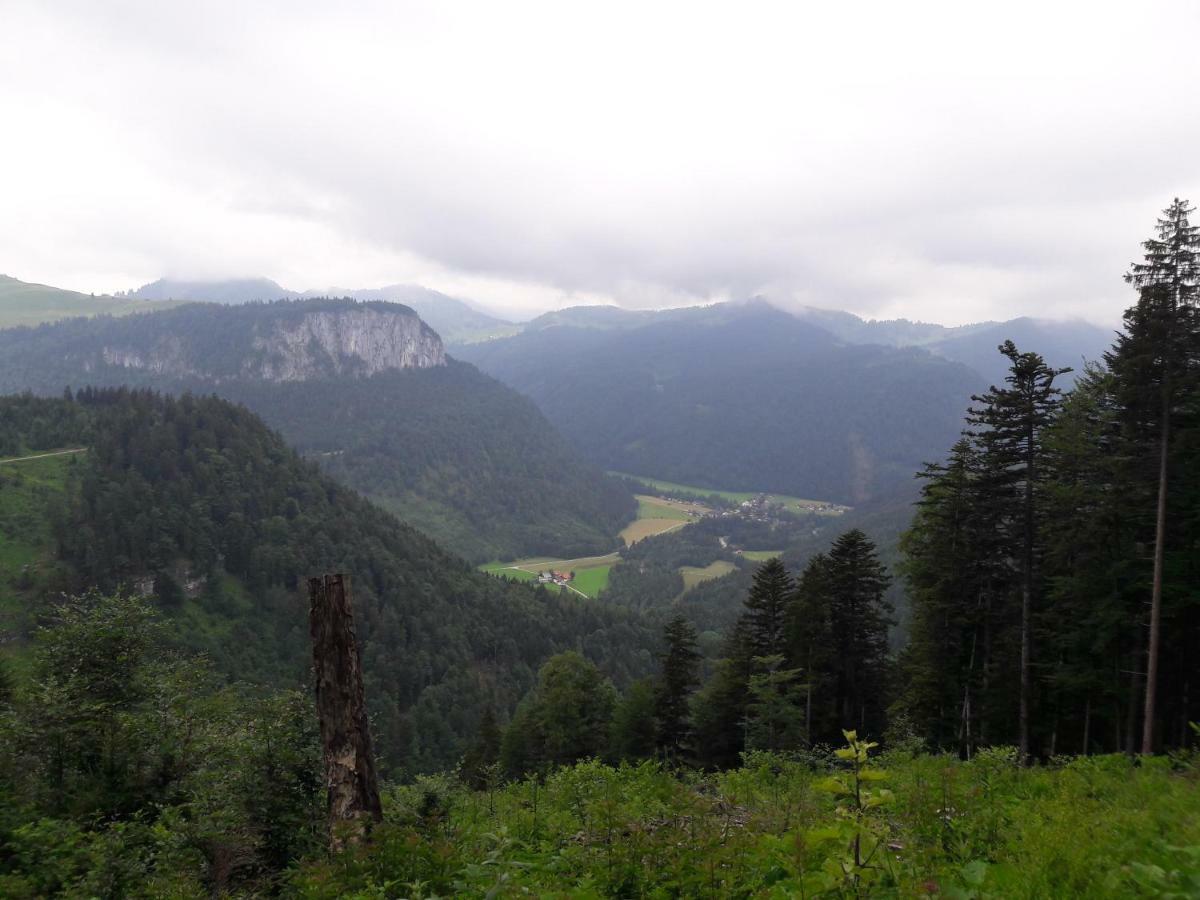 Biobauernhof Hauserbauer Hintersee Zewnętrze zdjęcie